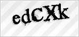 CAPTCHA security code