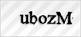 CAPTCHA security code