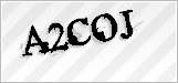 CAPTCHA security code