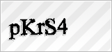 CAPTCHA security code