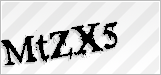 CAPTCHA security code