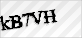 CAPTCHA security code
