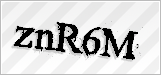 CAPTCHA security code