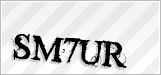 CAPTCHA security code