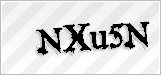 CAPTCHA security code