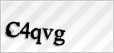 CAPTCHA security code