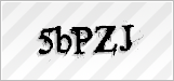 CAPTCHA security code