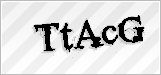 CAPTCHA security code