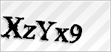 CAPTCHA security code