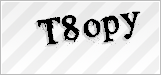 CAPTCHA security code