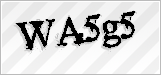 CAPTCHA security code