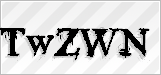 CAPTCHA security code