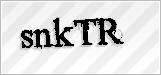 CAPTCHA security code