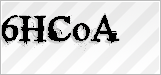 CAPTCHA security code