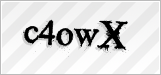 CAPTCHA security code