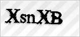 CAPTCHA security code