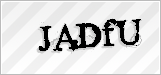 CAPTCHA security code
