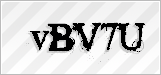 CAPTCHA security code