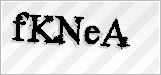 CAPTCHA security code