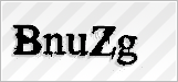 CAPTCHA security code