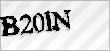 CAPTCHA security code