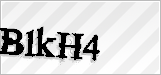 CAPTCHA security code