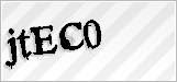 CAPTCHA security code