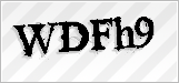 CAPTCHA security code
