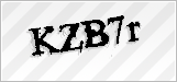 CAPTCHA security code