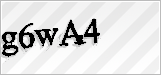 CAPTCHA security code