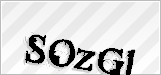 CAPTCHA security code