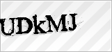 CAPTCHA security code