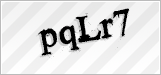 CAPTCHA security code