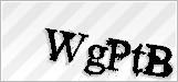 CAPTCHA security code