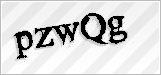 CAPTCHA security code