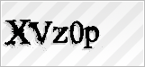 CAPTCHA security code
