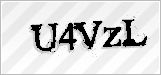 CAPTCHA security code