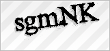CAPTCHA security code