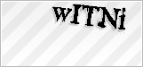 CAPTCHA security code