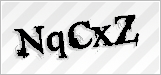 CAPTCHA security code