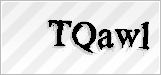 CAPTCHA security code