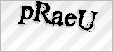 CAPTCHA security code