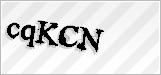 CAPTCHA security code