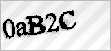 CAPTCHA security code