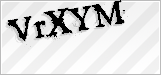 CAPTCHA security code