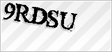 CAPTCHA security code