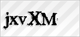 CAPTCHA security code