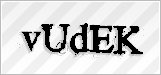 CAPTCHA security code