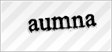 CAPTCHA security code
