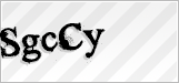 CAPTCHA security code